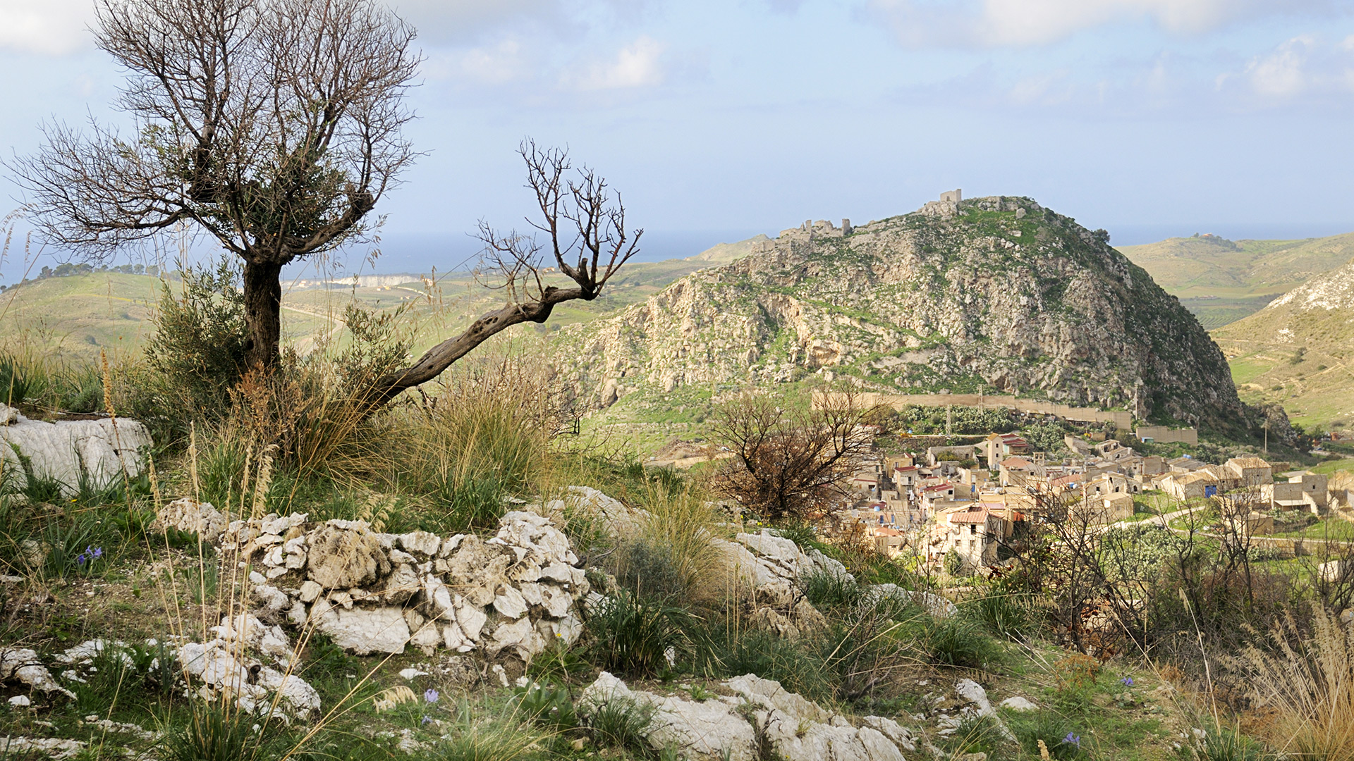 MONTE-SUSO2